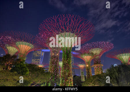 Supertrees beleuchtet nach dem dunklen Marina Bay Gardens Singapore TV 000550 Stockfoto