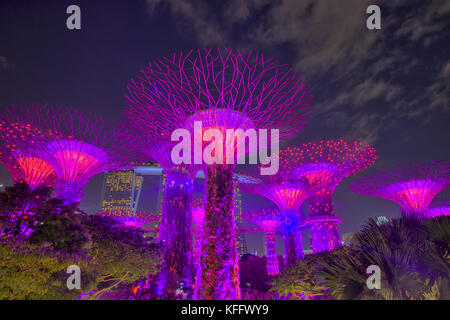 Supertrees beleuchtet nach dem dunklen Marina Bay Gardens Singapore TV 000554 Stockfoto