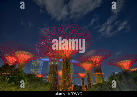 Supertrees beleuchtet nach dem dunklen Marina Bay Gardens Singapore TV 000562 Stockfoto