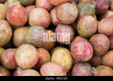 Passiflora foetida Obst, Passionsfrucht Stockfoto