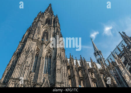 Kölner Dom in Deutschland Stockfoto
