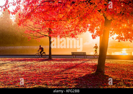 Jogger und Radfahrer bei Sonnenaufgang mit Herbst Farbe, Stanley Park Seawall, Vancouver, British Columbia, Kanada. Stockfoto