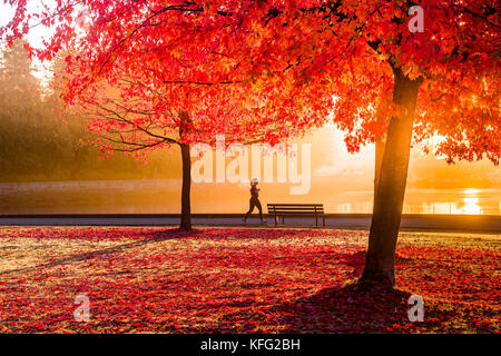 Jogger bei Sonnenaufgang mit Herbst Farbe, Stanley Park Seawall, Vancouver, British Columbia, Kanada. Stockfoto