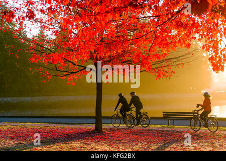 Radfahrer bei Sonnenaufgang mit Herbst Farbe, Stanley Park Seawall, Vancouver, British Columbia, Kanada. Stockfoto