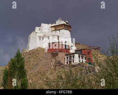 Buddhistische Kloster Namgyal tseemo Close up: Weiß und Burgunder gong Gebäude stehen auf einer Klippe unter den Bäumen, Ladakh, Nordindien. Stockfoto