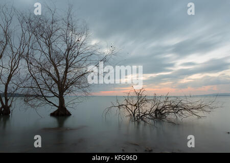 Skelettmuskulatur Bäume und Pflanzen auf einem See bei Sonnenuntergang, mit perfekt noch Wasser Stockfoto