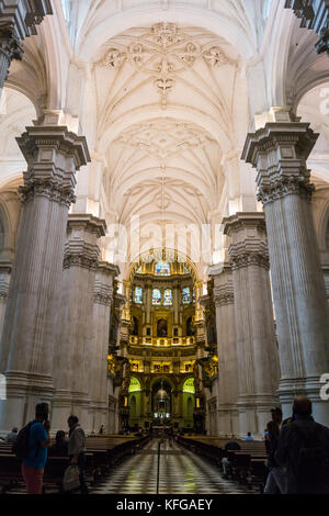 Langhaus und Chor der Metropolitan Kathedrale der Heiligen Kirche der Menschwerdung, im barocken Stil, Granada, Andalusien, Spanien Stockfoto