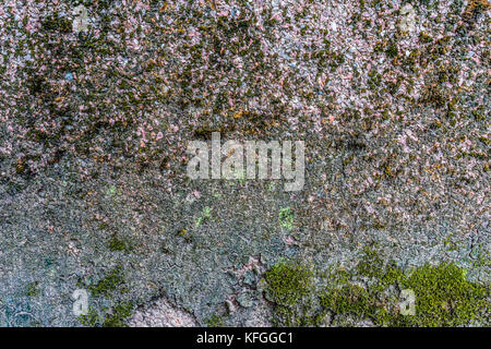 Strukturierte alte Granitwand: Ein natürlicher abstrakter Hintergrund. Granitstein-Textur, Nahbild, Tapete und Textur für das Rendern geeignet Stockfoto