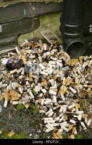 Stapel der weggeworfenen Zigarettenkippen und Filter. Stockfoto