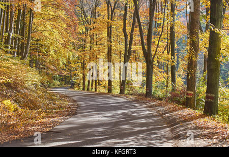 Hell leuchtend hellen Farben von Herbst im Oktober, sonnigen Morgen sowie Gory Eulengebirge Niederschlesien Polen Stockfoto