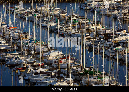 WA14075-00...WASHINGTON - Elliot Bay Marina am Rande der Elliot Bay in Seattle's Magnolia Gegend. Stockfoto