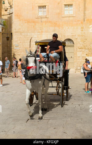 Kutschenfahrt rund um die alten Straßen von Mdina, Malta, für Touristen die Einstellung eines Pferdes und Trap / sightseeing Kutschen. (91) Stockfoto