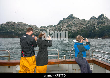 Touristen fotografieren Little Skellig Insel und seine große Kolonie der norhern Basstölpel (Morus bassanus) von einem Boot aus, County Kerry, Irland Stockfoto