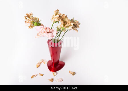 Tote Rosen in rot Vase auf dem weißen Hintergrund Stockfoto