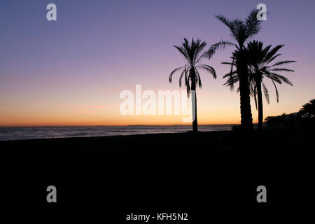 Spektakuläre Aussicht auf den Sonnenuntergang über Marbella Meer mit Palmen zurück Licht Silhouetten. Stockfoto