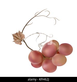 Frische Trauben lila Stock Vektor