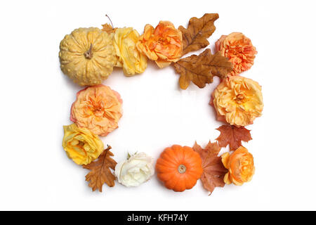 Herbst Blumen Rahmen aus bunten Ahorn, Eiche Blätter, Kürbisse und Fading Rosen auf weißem Hintergrund. fallen und Danksagung Konzept. eingerichteten Lager flach Fotografie legen. Ansicht von oben. Stockfoto