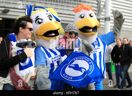 Fans von Brighton und Hove Albion kommen vor dem Premier League-Spiel im AMEX Stadium in Brighton an. Stockfoto