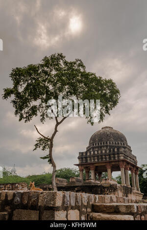 Baolis von mehrauli Stockfoto