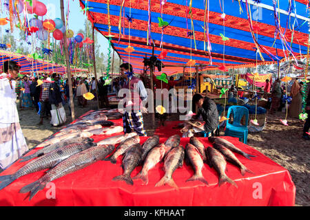 Ein Fisch an poradaha Mela garidaha Fluss in der Nähe von bogra gabtali upazila Bezirk in Bangladesch. Die wichtigsten Attraktionen dieser 150 Jahre alten tradit Stockfoto