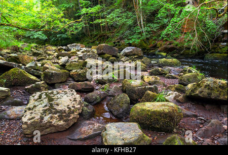 Entlang der West Beck in der Nähe von mallyan Auslauf, North York Moors National Park Stockfoto