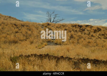 Native Settlement in Hawaii, Big Island. USA, EEUU. Stockfoto