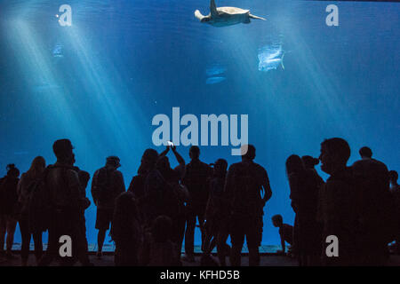 Monterey, Kalifornien Stockfoto