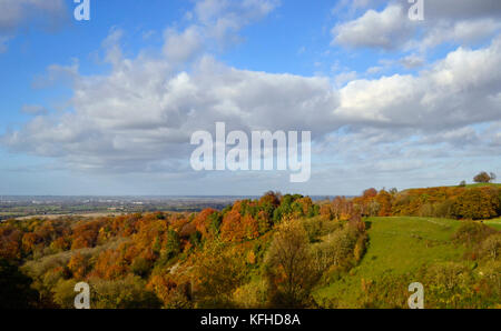 Blick über die Landschaft von Buckinghamshire vom Rand der Kanzel Holz, Cadsden, mit Farben des Herbstes, Herbst, rustikalen Blätter Stockfoto