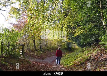 Man folgenden Fußweg durch Kanzel Holz, Cadsden, mit Farben des Herbstes, Herbst, rustikalen Blätter Stockfoto