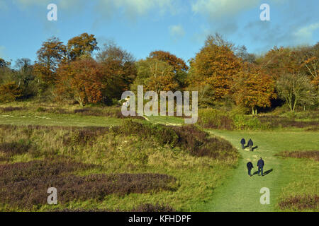 Die Menschen gehen durch den Schießstand an der Kanzel Holz, Cadsden, mit Farben des Herbstes, Herbst, rustikalen Blätter Stockfoto