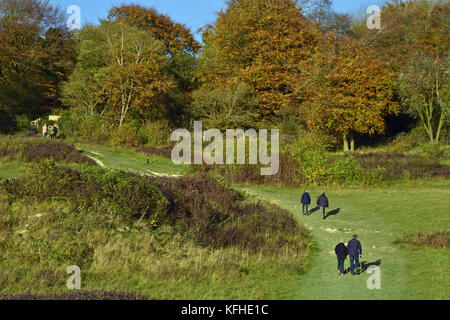 Die Menschen gehen durch den Schießstand an der Kanzel Holz, Cadsden, mit Farben des Herbstes, Herbst, rustikalen Blätter Stockfoto