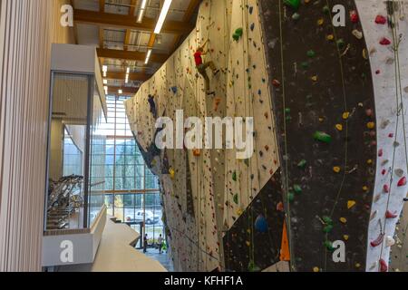 Kletterer Skalierung vertikal Kletterwand in Höhe Ort Freizeiteinrichtung in Canmore Alberta Stockfoto