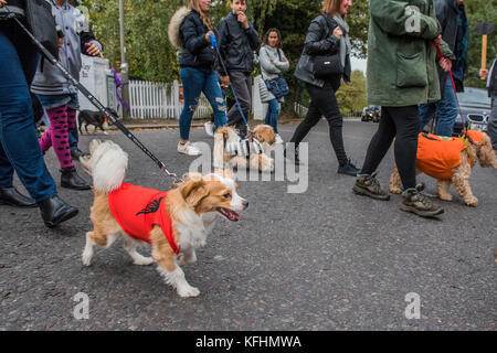 Hampstead Heath, London, UK. 29 Okt, 2017. Ein charity Halloween Hund spazieren und Fancy Dress zeigen, indem sie alle Hunde Materie auf der Spanier Inn, Hampstead organisiert. London, 29. Okt 2017. Credit: Guy Bell/Alamy leben Nachrichten Stockfoto