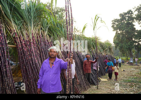 Chaibasa, Jharkhand, Indien, 29. Oktober 2017: Die Händler verkaufen Zuckerrohr auf der Gaushala Messe. Chaibasa Gaushala feierte am 28. Und 29. Oktober 2017 seine 117. Historische Jahresmesse. Quelle: MIHIR RANJAN/Alamy Live News. Stockfoto