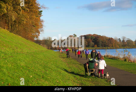 Milngavie, Glasgow, Schottland, Großbritannien. 29. Oktober, 2017. Viele Wanderer im Herbst Sonnenschein an Craigmaddie Behälter. Kredit Alan Oliver/Alamy leben Nachrichten Stockfoto