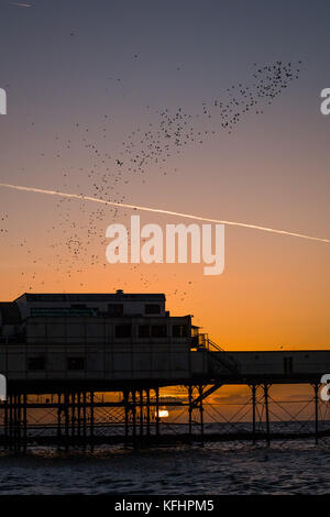 Aberystwyth Wales UK, Sonntag, 29. Oktober 2017 UK Wetter: Bei Sonnenuntergang an einem glorreichen klaren und kalten Abend fliegen Tausende von winzigen Starlingen in den Himmel über Aberystwyth, bevor sie sich unter dem Pier der Stadt für die Nacht aufhalten. Nachdem die Sommermonate in Skandinavien verbracht wurden, sind die Herden von Zugstarnen wieder zu ihrem Winterfuttergebiet und ihren Schlafplätzen im Vereinigten Königreich zurückgekehrt Foto © Keith Morris / Alamy Live News Stockfoto