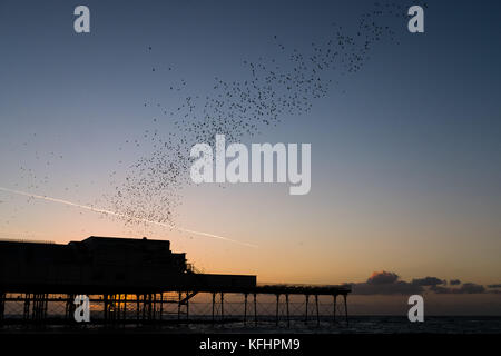 Aberystwyth Wales UK, Sonntag, 29. Oktober 2017 UK Wetter: Bei Sonnenuntergang an einem glorreichen klaren und kalten Abend fliegen Tausende von winzigen Starlingen in den Himmel über Aberystwyth, bevor sie sich unter dem Pier der Stadt für die Nacht aufhalten. Nachdem die Sommermonate in Skandinavien verbracht wurden, sind die Herden von Zugstarnen wieder zu ihrem Winterfuttergebiet und ihren Schlafplätzen im Vereinigten Königreich zurückgekehrt Foto © Keith Morris / Alamy Live News Stockfoto