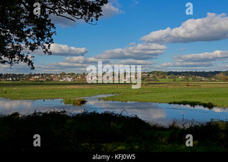 Pulborough Brooks, ein RSPB Nature Reserve, West Sussex, England, Großbritannien Stockfoto