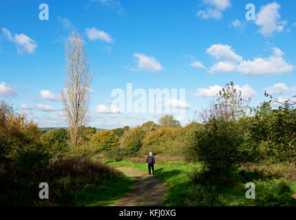 Pulborough Brooks, ein RSPB Nature Reserve, West Sussex, England, Großbritannien Stockfoto