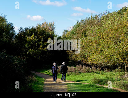 Senior Paar auf Pfad, Pulborough Brooks, ein RSPB Nature Reserve, West Sussex, England, Großbritannien Stockfoto