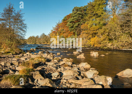 Teesdale Landschaft, im Herbst am Fluss Tees zwischen Low Force und High Force Wasserfälle Oktober 2017 Stockfoto