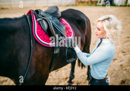 Weibliche Reiter ein Pferd satteln, Reiten. Pferdesport, junge Frau und schönen Hengst, farm animal Stockfoto