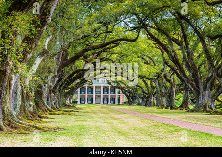 Oak Alley Plantage, eine Plantage und National Historic Landmark in der Nähe des Mississippi River in der Gemeinschaft der Vacherie, Louisiana, USA Stockfoto