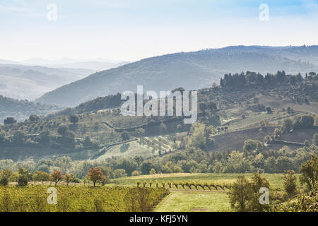 Schönen Morgen über Castellina in Chianti mit einigen Nebel zwischen den Hügeln mit Weinbergen in der Toskana in Italien Stockfoto