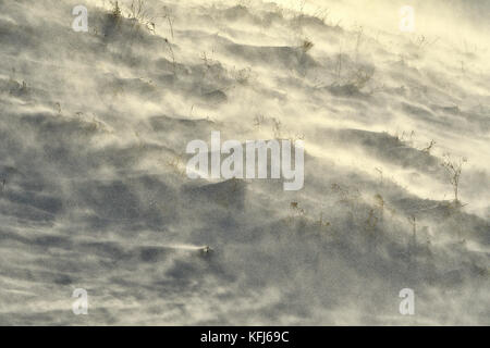 Schnee, um die Oberfläche von einem starken Wind geblasen Stockfoto