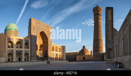 Architektonische Komplex von POI kalyan bei Sonnenuntergang, Buchara, Usbekistan Stockfoto