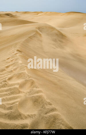 Ein Blick auf vastity von Dunas de Maspalomas auf Gran Canaria Insel, mit seinen goldenen Dünen mit einzigartigen Formen Stockfoto