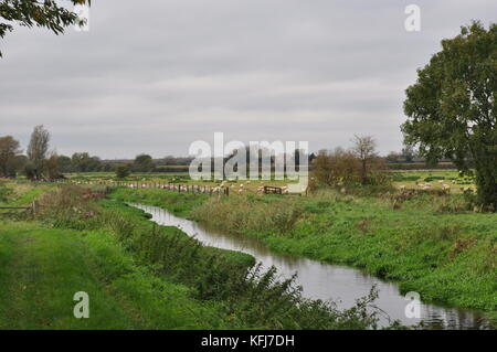 Der Fluss Nar, West Norfolk, East Anglia England Großbritannien Stockfoto