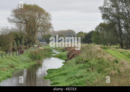 Fluss Nar Blickrichtung Nord-östlich von in der Nähe von pentney Abbey, West Norfolk, England Großbritannien Stockfoto