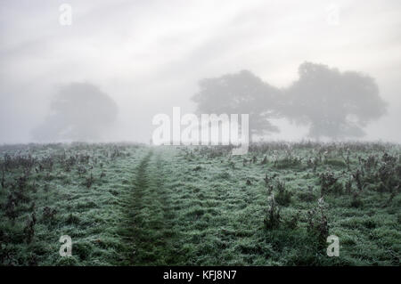 Dicke herbstlichen Nebel um Landschaft von Sussex in der Nähe von Shipley Stockfoto